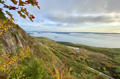 A scenic view of a coastline with lush greenery and colorful autumn foliage under a cloudy sky.