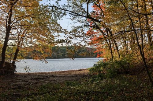 A serene lake view framed by colorful autumn trees and a sandy shore, reflecting the peacefulness of nature.