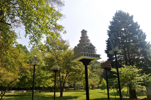 Colorful birdhouses on tall poles in a lush green park, surrounded by trees and clear blue skies.