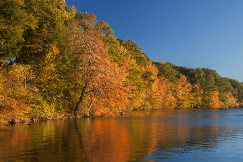 A serene lake surrounded by vibrant autumn trees reflecting in the water under a clear blue sky.