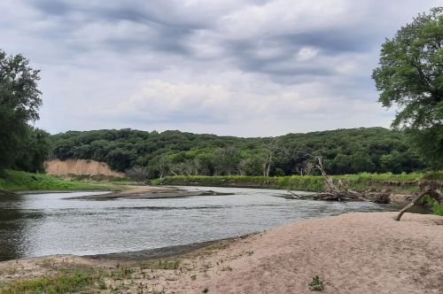 A serene river winding through lush greenery under a cloudy sky, with sandy banks and fallen trees.