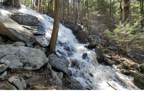 A cascading waterfall flows over rocks in a lush, green forest. Sunlight filters through the trees.