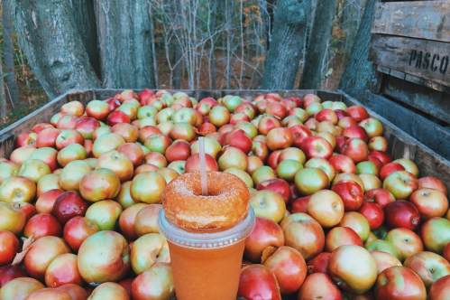 A cup of apple cider topped with a donut sits in front of a wooden crate filled with red and green apples.