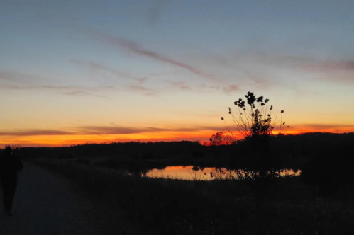 Silhouette of a person walking along a path at sunset, with vibrant orange and purple skies reflected in a calm pond.