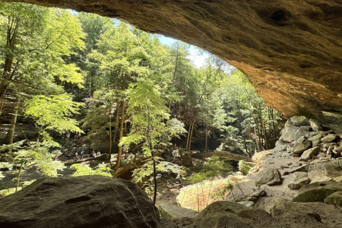 A view from a rocky overhang into a lush green forest with trees and people in the distance.