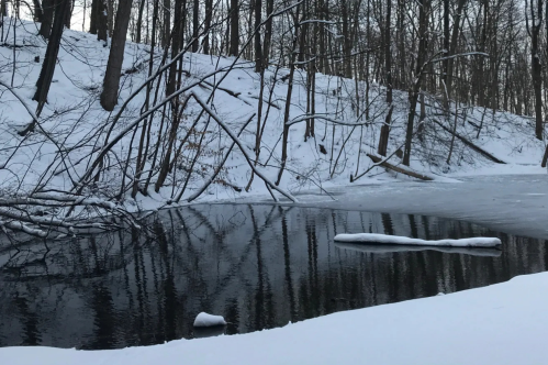 A serene winter scene with a partially frozen pond surrounded by snow-covered trees and a snowy hillside.