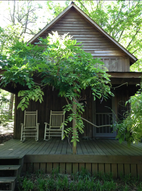 A rustic wooden cabin surrounded by greenery, featuring two rocking chairs on the porch.