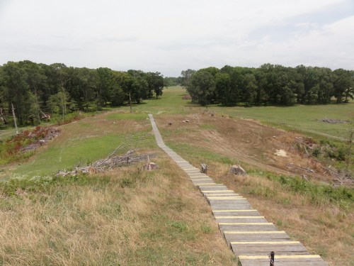 A wooden pathway leads through a grassy landscape with trees in the background and cleared areas on either side.