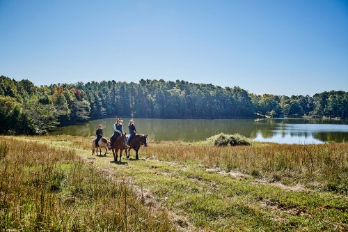 Three people on horseback near a calm lake, surrounded by trees and a clear blue sky.