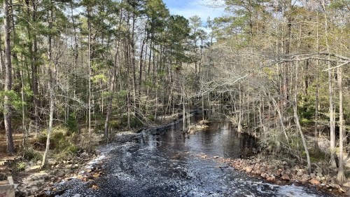 A serene river flows through a wooded area, surrounded by trees and rocky banks under a clear blue sky.