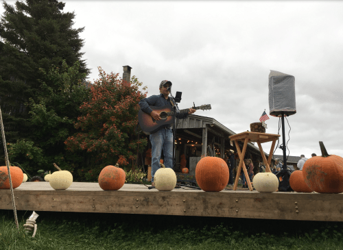 A musician performs on a wooden stage surrounded by pumpkins, with trees and a crowd in the background on a cloudy day.