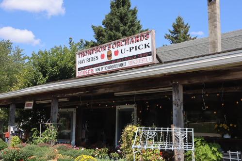 Sign for Thompson's Orchards featuring hay rides and U-pick options, with a rustic building and greenery in the foreground.