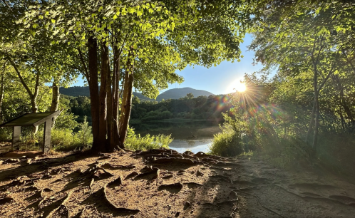 Sunlight filters through trees by a serene lake, with mountains in the background and rocky ground in the foreground.