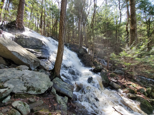 A cascading waterfall flows over rocks, surrounded by lush green trees in a serene forest setting.