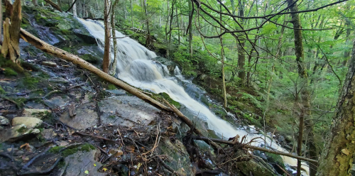 A serene waterfall cascades down rocky terrain, surrounded by lush green trees and foliage.