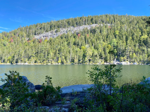 A serene lake surrounded by lush green trees and a rocky hillside under a clear blue sky.