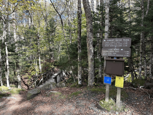 Trail sign at a forested area, indicating paths for Sunset Ridge Trail and CCC Road, with a wooden bridge in the background.