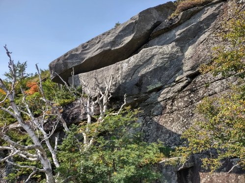 A large rock formation towers over a mix of trees and shrubs under a clear blue sky.