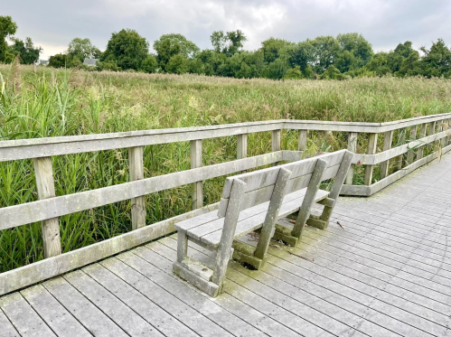 A weathered wooden bench on a boardwalk overlooking tall grass and trees under a cloudy sky.