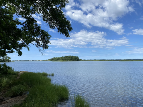 A serene lake view with lush green grass, trees, and a blue sky dotted with clouds.