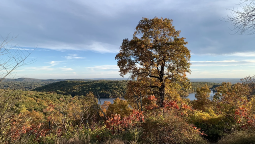 A scenic view of a lake surrounded by autumn foliage and rolling hills under a partly cloudy sky.