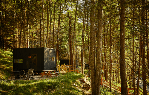 A modern black cabin nestled among tall trees, with outdoor seating and a serene forest backdrop.