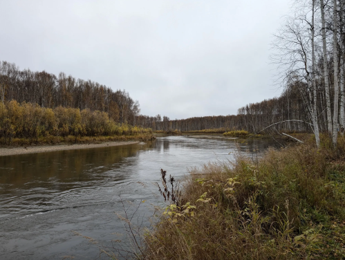 A calm river flows through a landscape of autumn trees and grasses under a cloudy sky.