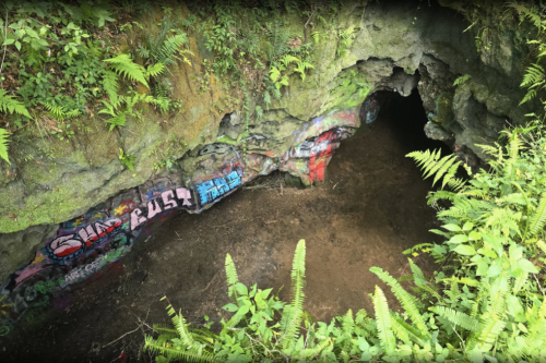 A cave entrance surrounded by lush greenery and colorful graffiti on the rocky walls.