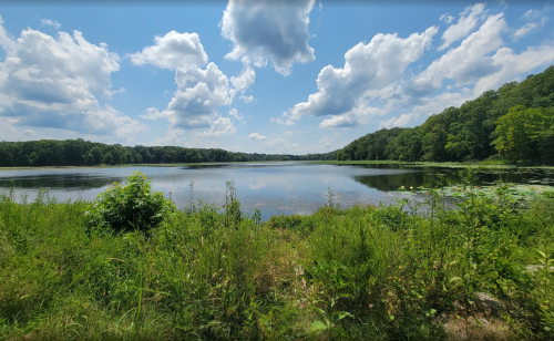 A serene lake surrounded by lush greenery and trees, under a bright blue sky with fluffy white clouds.
