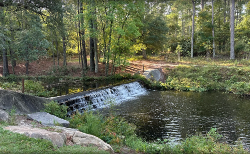 A serene scene of a small waterfall cascading into a calm pond, surrounded by trees and greenery.