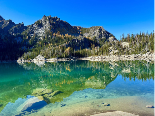 A serene lake reflects mountains and trees under a clear blue sky, with visible rocks beneath the water's surface.