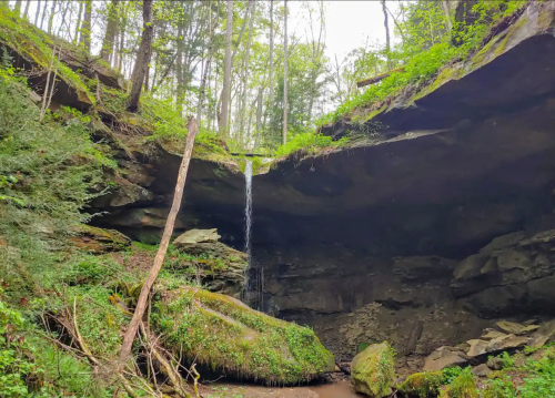 A serene waterfall cascades from a rocky overhang, surrounded by lush greenery and moss-covered stones.