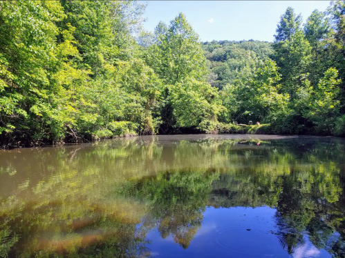 A serene pond surrounded by lush green trees, reflecting the vibrant foliage and blue sky above.
