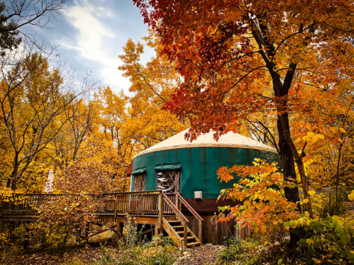 A green yurt surrounded by vibrant autumn trees with orange and yellow leaves.