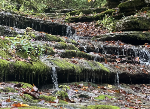 A serene waterfall cascades over moss-covered rocks, surrounded by autumn leaves and lush greenery.