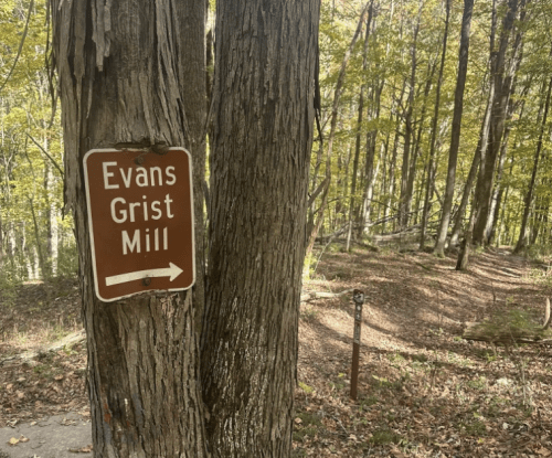 Sign for Evans Grist Mill attached to a tree, with a path leading into a wooded area.