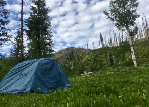 A blue tent set in a lush green meadow surrounded by trees and a cloudy sky in the background.