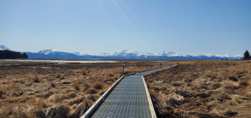 A wooden boardwalk leads through dry grassland towards snow-capped mountains under a clear blue sky.