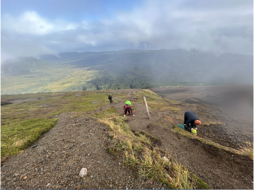 Three people working on a steep, grassy slope with a mountainous landscape in the background under a cloudy sky.