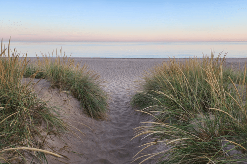 A sandy path leads through tall grass to a calm beach at sunset, with soft pastel colors in the sky.
