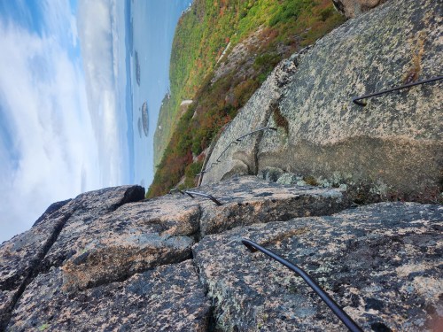 A rocky cliff with metal handholds, overlooking a colorful forested landscape and a body of water in the distance.
