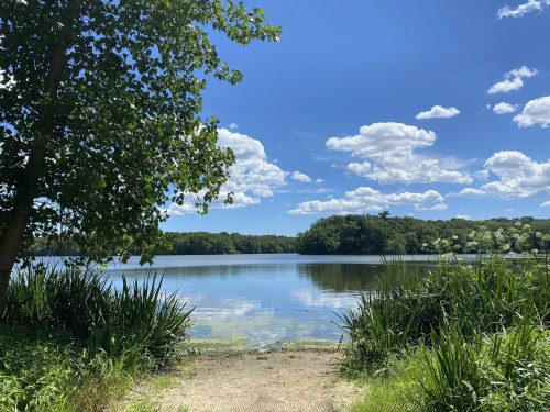 A serene lake surrounded by greenery under a bright blue sky with fluffy clouds.