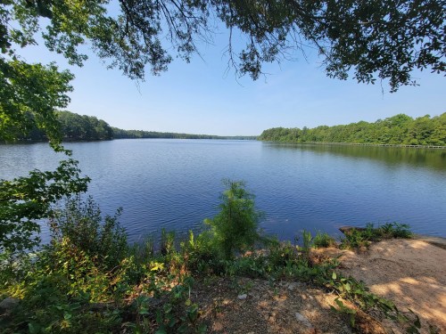 A serene lake surrounded by lush greenery under a clear blue sky, with calm water reflecting the landscape.