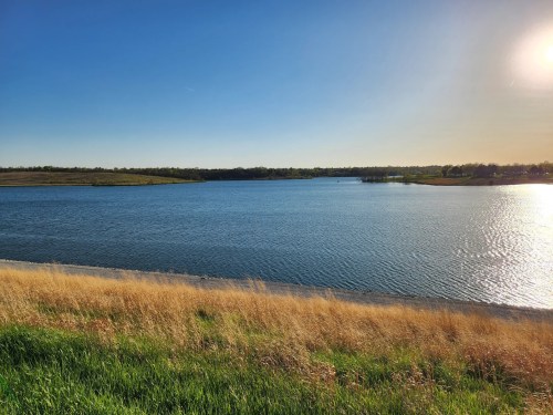 A serene lake surrounded by grassy shores under a clear blue sky and bright sunlight.
