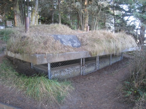 A concrete structure covered in grass, surrounded by trees and a dirt path.