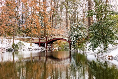 A red bridge arches over a calm, snow-covered pond surrounded by trees with autumn leaves and fresh snow.