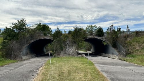 Two curved concrete tunnels under a road, surrounded by greenery and a cloudy sky. Cracked pavement leads to the tunnels.