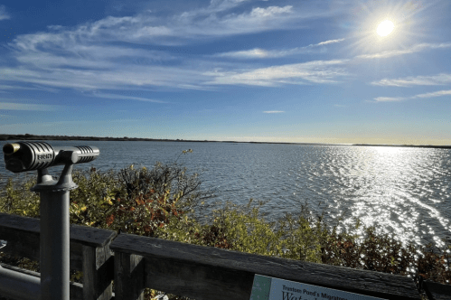 A scenic view of a calm water body under a bright sky, with a viewing scope and colorful foliage in the foreground.