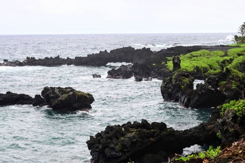Rocky coastline with lush greenery and waves crashing against dark volcanic rocks under a cloudy sky.