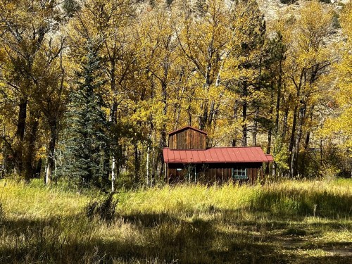 A rustic cabin with a red roof nestled among golden autumn trees and tall grass in a serene landscape.